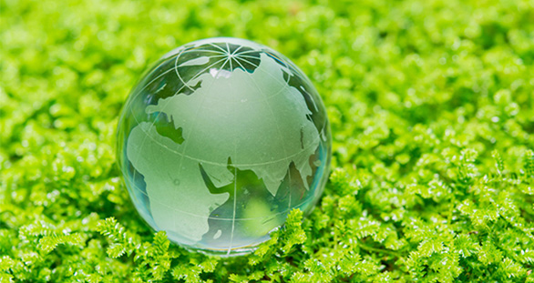 Een groene en duurzame wereld