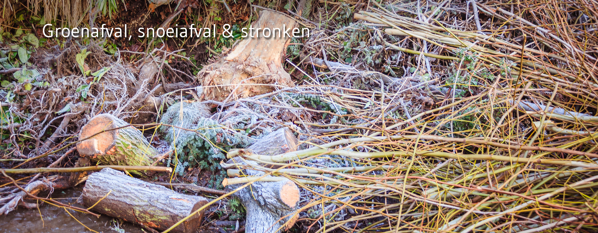 Boomstronken en takken worden hakselhout